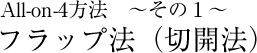 All-on-4方法　～その１～フラップ法（切開法）