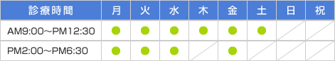 診察時間　AM9:00～PM12：30　月・火・水・木・金・土　PM2：00～PM6：30　月・火・水・金