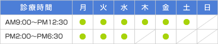 診療時間 AM9:00～PM:12:30 月・火・水・木・金・土　PM:2:00～PM6:30 月・火・水・金